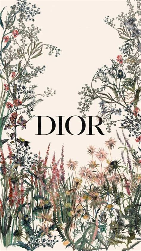 dior backround|christian Dior date of birth.